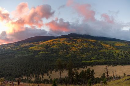 Coconino County, AZ