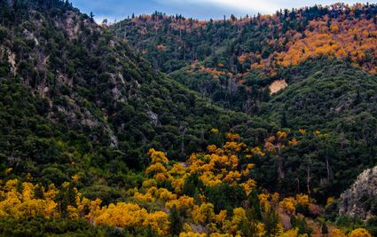 San Bernardino County, CA