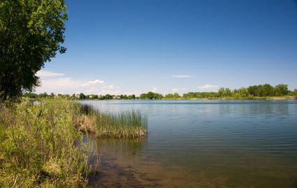 Arapahoe County, CO