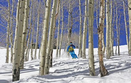 Eagle County, CO