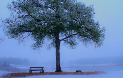 Bartow County, GA