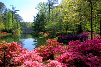 Ben Hill County, GA