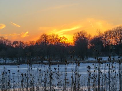 Kane County, IL