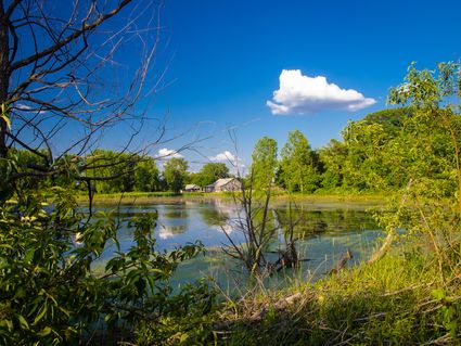 Jay County, IN