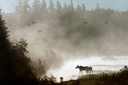 Aroostook County, ME