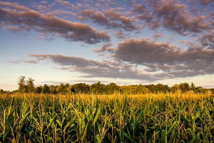 Baraga County, MI