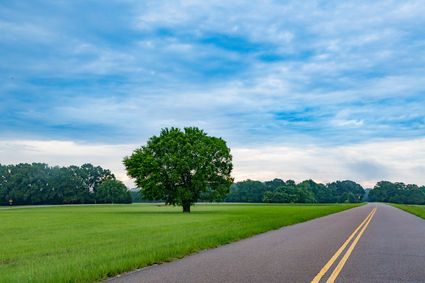 Clarke County, MS