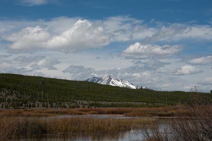 Yellowstone County, MT