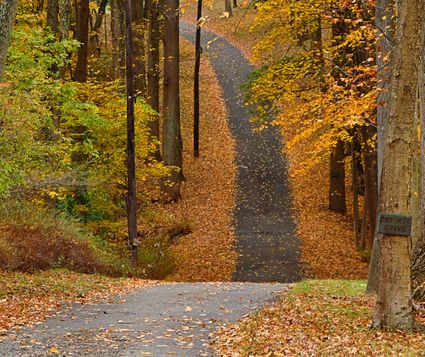 Somerset County, NJ