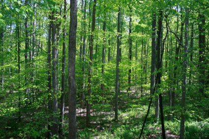 Person County, NC