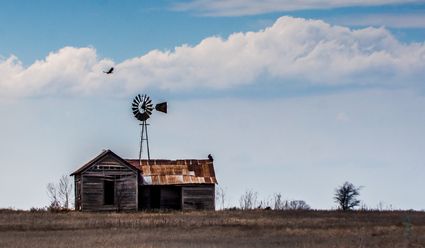 Alfalfa County, OK