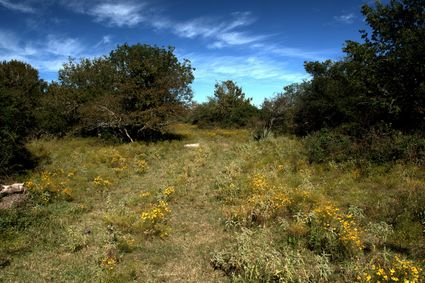 Brazoria County, TX