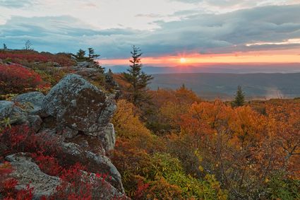 Grant County, WV