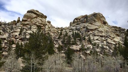 Albany County, WY