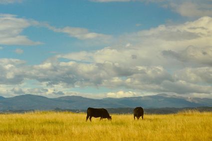 Converse County, WY