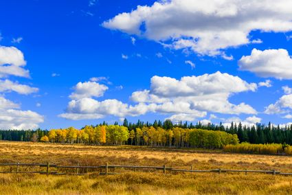 Crook County, WY