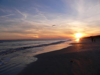 Coastal Regional Commission (North)--Bulloch, Effingham & Screven Counties PUMA, GA